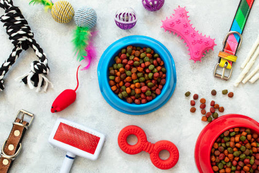 Top 5 Must-have Pet Supplies Every Home Should Have