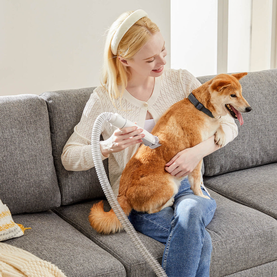 Pet Grooming Do's And Don'ts