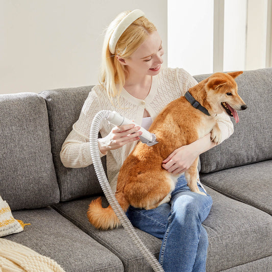 Pet Grooming Do's And Don'ts