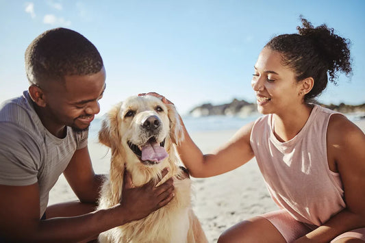 Welcome to Best Pet Life Ever – Because Every Pet Deserves the Very Best