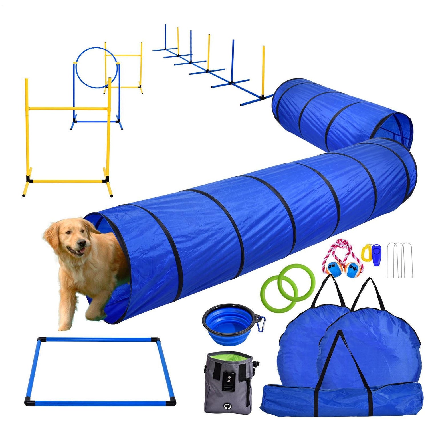 Dog Training