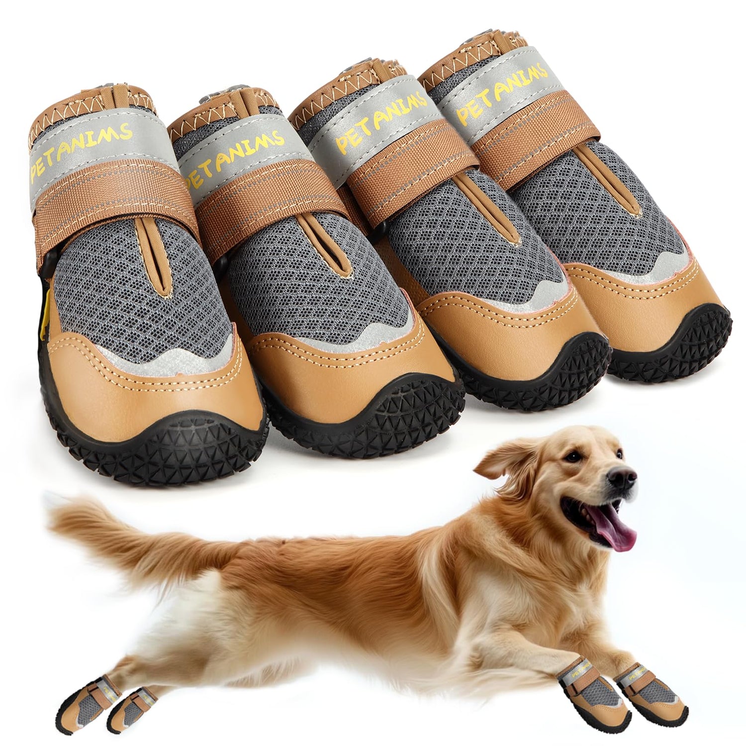 Footwear