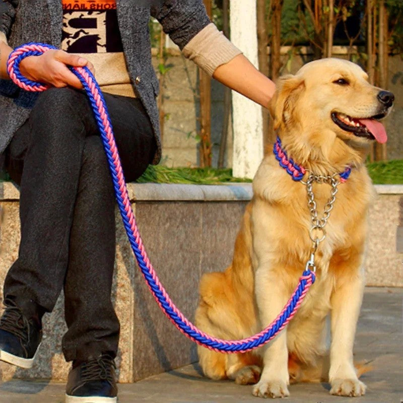 Collars & Leashes