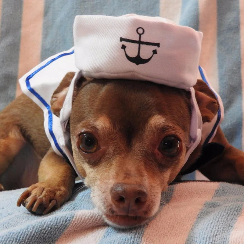 Funny Pet Cat Costumes Cat  Apparel Clothes For Halloween Christmas Cosplay Navy Sailor Costumes Jacket Cloak Dog Accessories