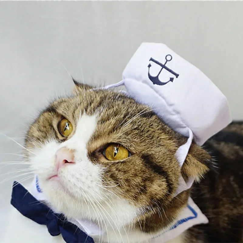 Funny Pet Cat Costumes Cat  Apparel Clothes For Halloween Christmas Cosplay Navy Sailor Costumes Jacket Cloak Dog Accessories