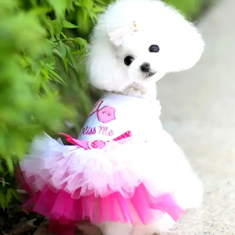 Spring Dog Lace Dress Pet Dog Clothes For Small Dog Party Birthday Wedding  Dress Puppy Costume  Pet Clothes