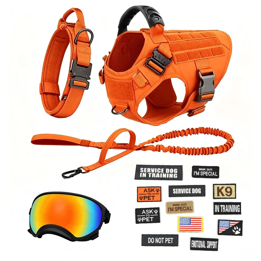 Tactical Dog Harness Vest With Collar Leash Velcro Patches And Sunglasses For Medium Large Dogs Adjustable For Outdoor Training Walking Working And Daily Use