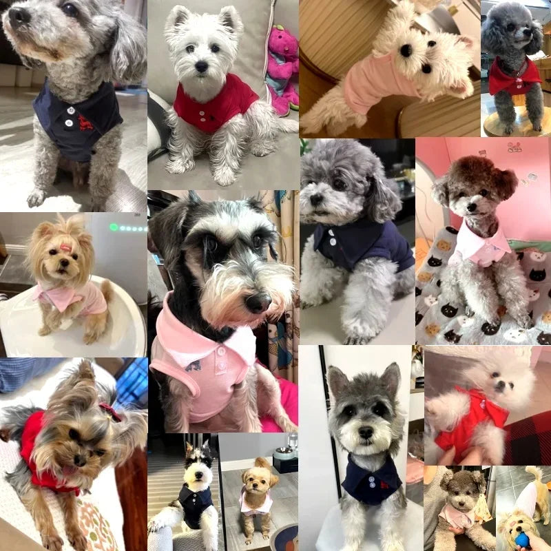 New Pet Dog Polo Shirt Dog Cool Clothes Soft Breathable Yorkie Chihuahua Puppy Clothes Dog Vest for Small Medium Dogs Costumes