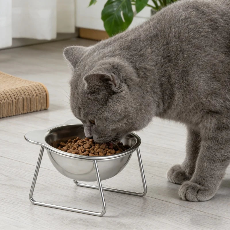 BOOTEELY Tilted Cat Bowl Stainless Steel Cat Food Bowls with Metal Stand Food and Water Dish for Cats Kitten Puppies Feeders Cat Supplies