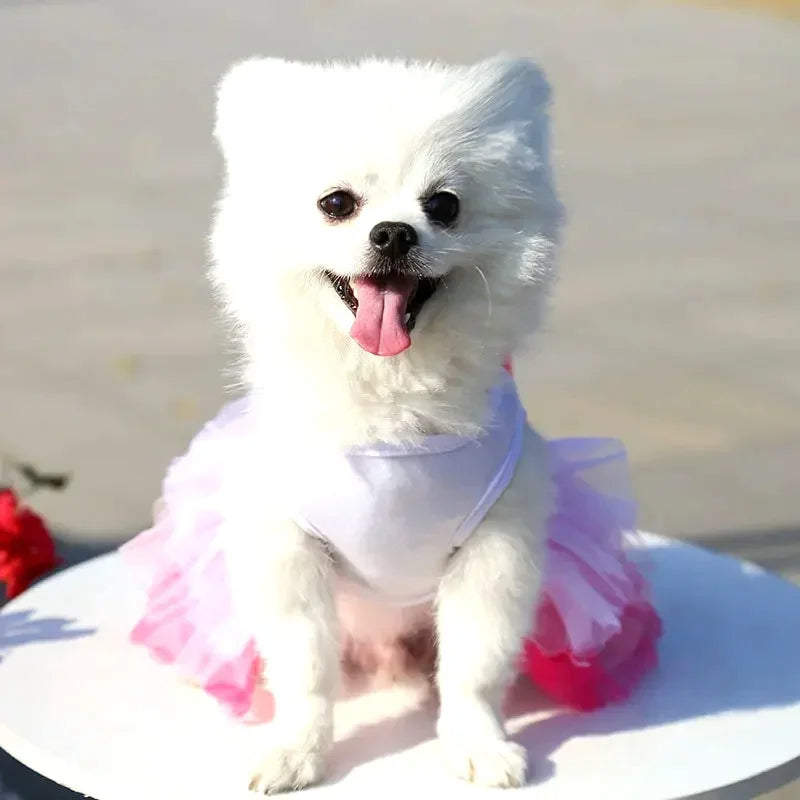 Spring Dog Lace Dress Pet Dog Clothes For Small Dog Party Birthday Wedding  Dress Puppy Costume  Pet Clothes