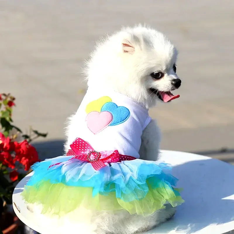 Spring Dog Lace Dress Pet Dog Clothes For Small Dog Party Birthday Wedding  Dress Puppy Costume  Pet Clothes