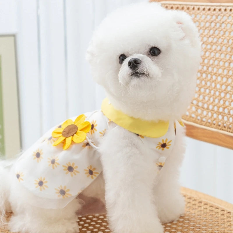 Dog Princess Dress Cute Pet Dog Mesh Dress Kitten Puppy Pet Skirt Dog Summer Dress Bow Lace Korean Poodle Chihuahua Dog Clothes